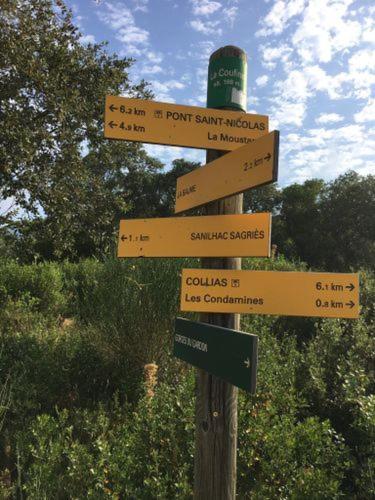 Proche Uzes Le Cocon Du Peintre Anglais Sagriès Esterno foto