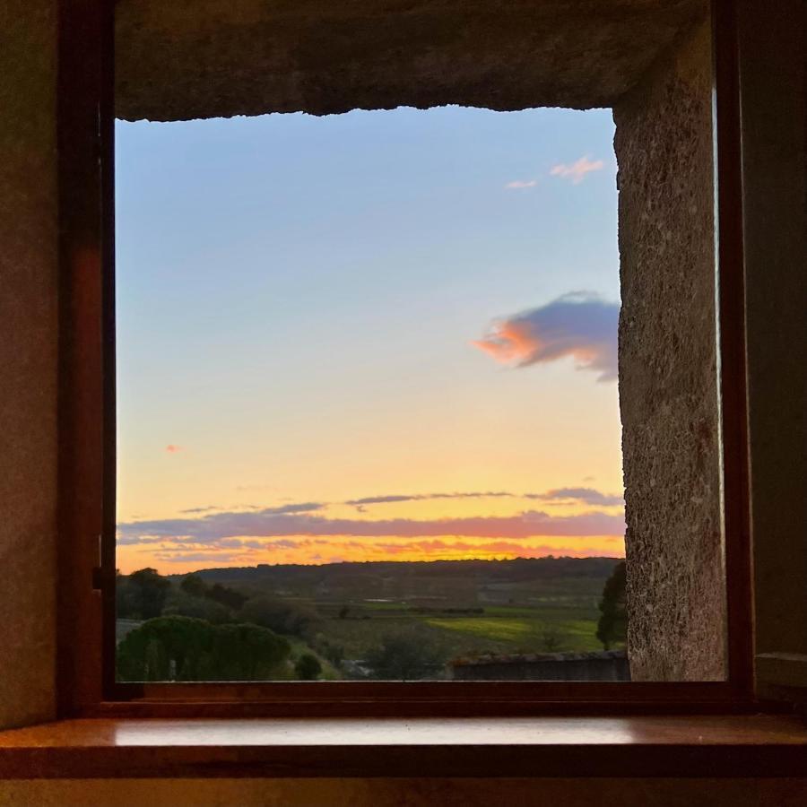 Proche Uzes Le Cocon Du Peintre Anglais Sagriès Esterno foto